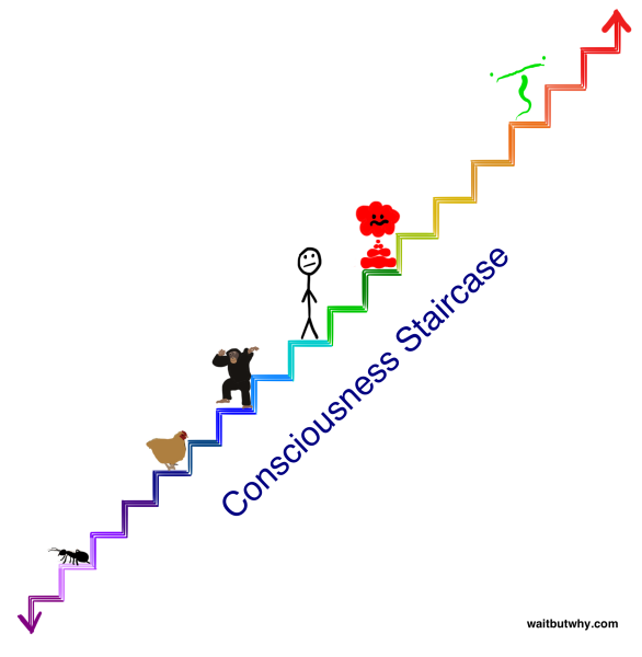 Escada da consciência